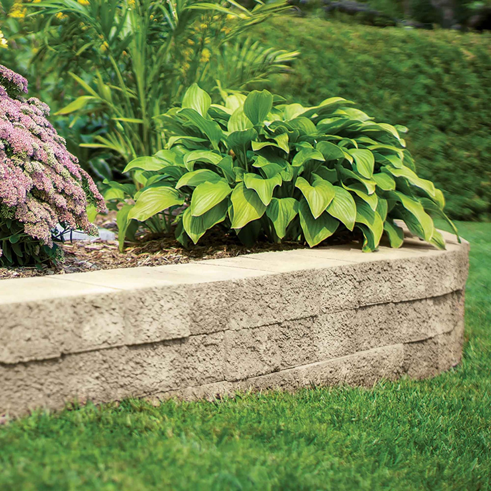 Muret Rustico, grège