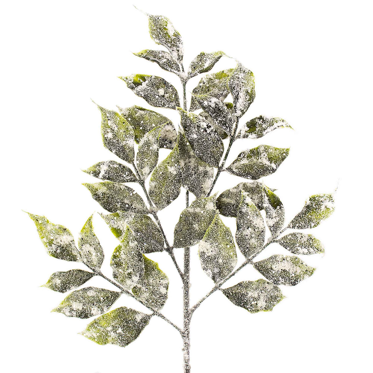 Pic de branche avec feuillage givré, 22''