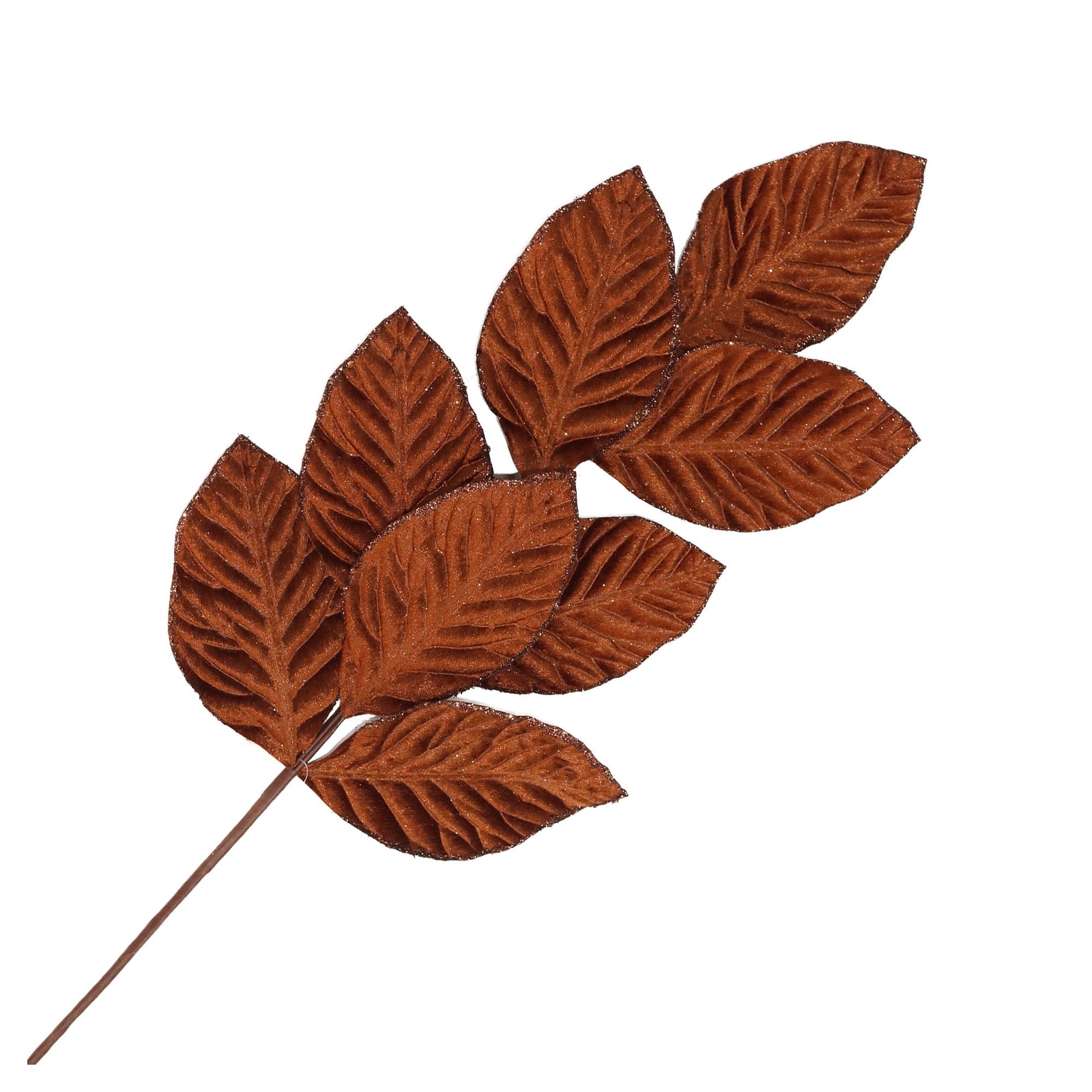 Pic de feuilles de magnolia avec bordures brillantes, 28" (brun clair)