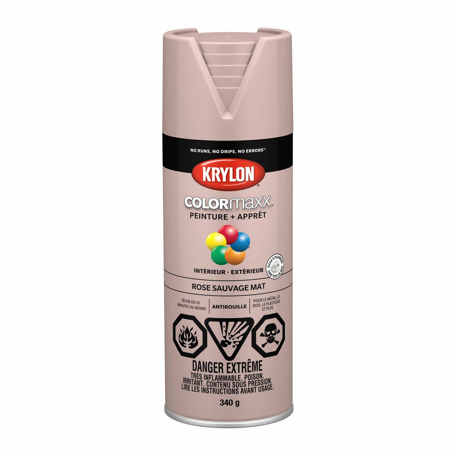 Krylon aérosol COLORMAXX peinture + apprêt rose sauvage mat, 340 g