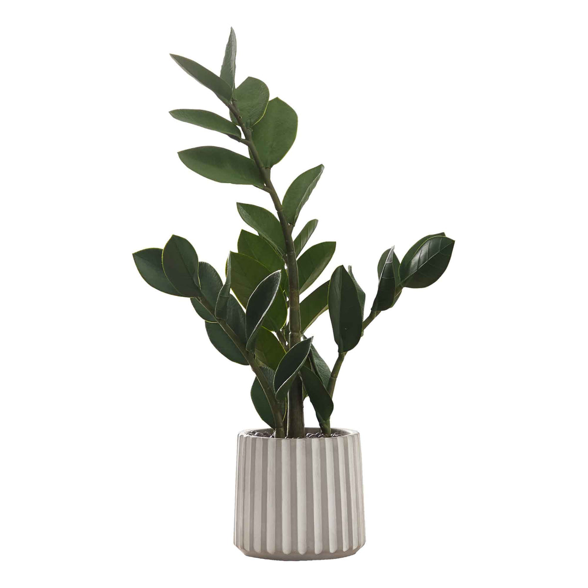 la plante zz ZZ Artificial Indoor Plant in Cement Pot, 20" - GAGNON