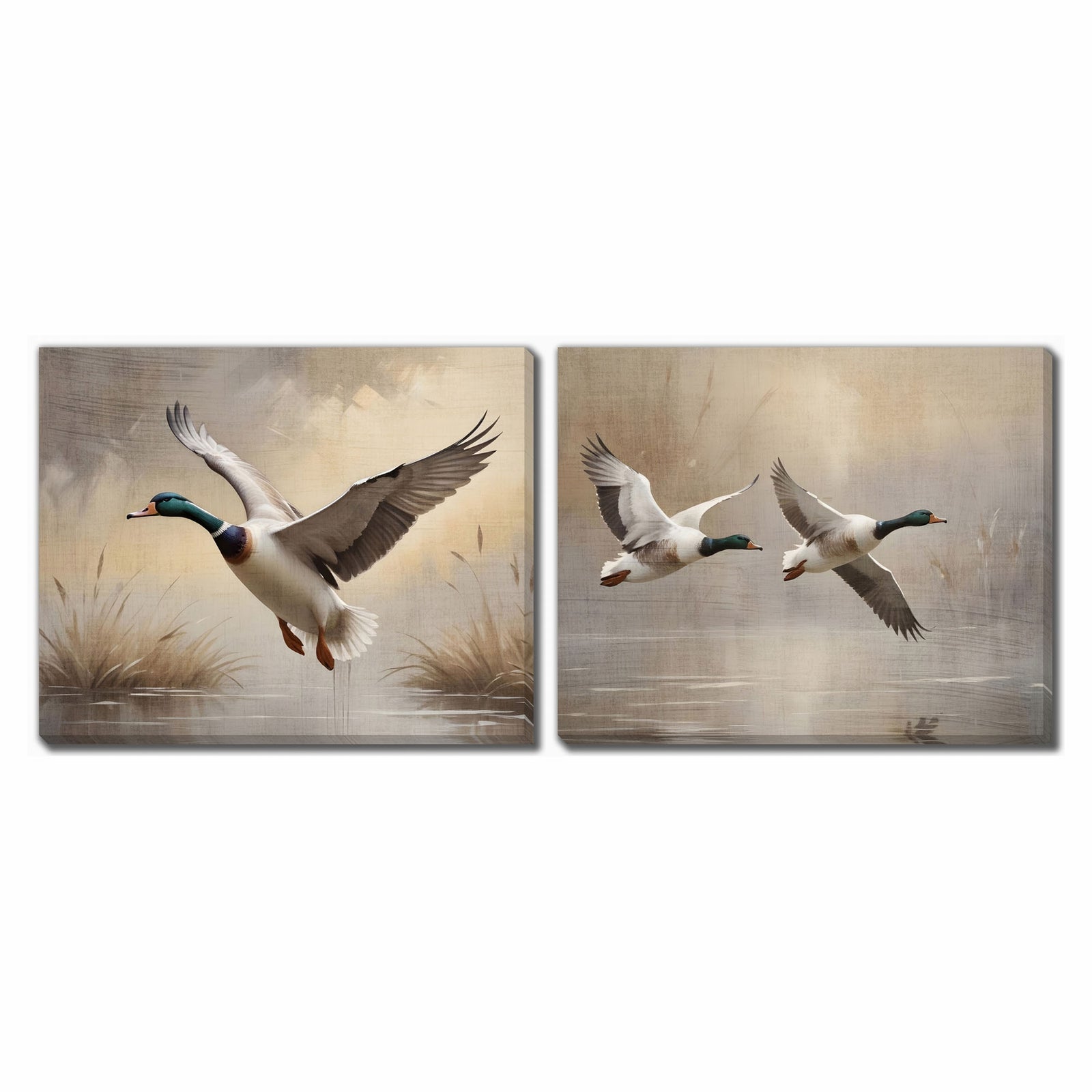 Ensemble de 2 canevas avec canards colverts en plein vol, 16" x 20"