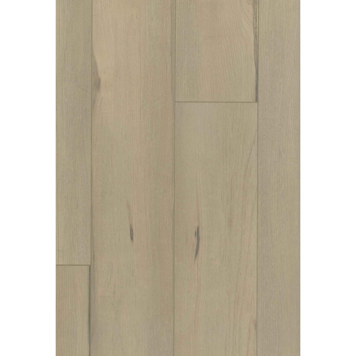 Plancher laminé AC4 INTEMPOREL beige Sahara, 12,3 mm