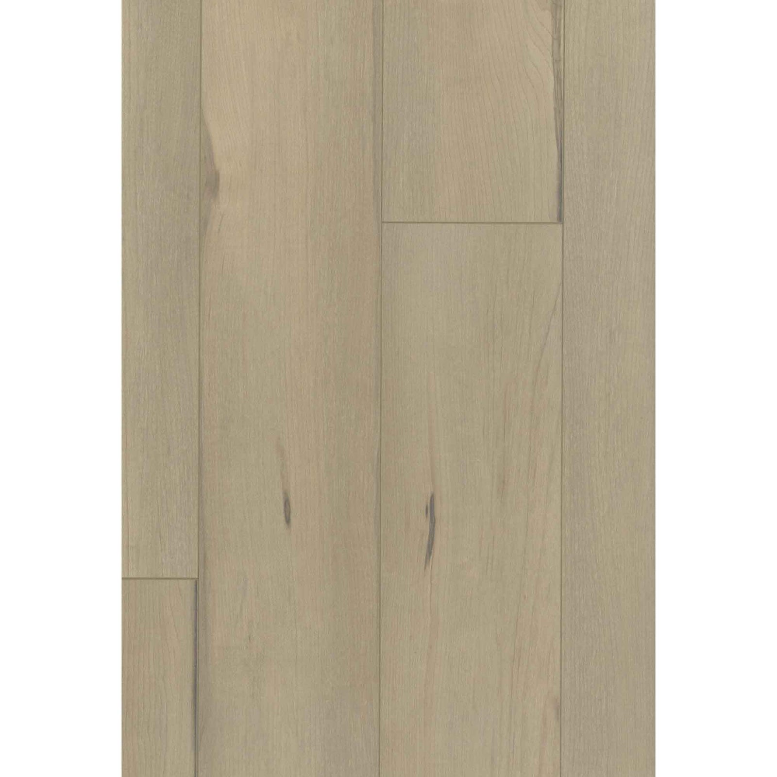Plancher laminé AC4 INTEMPOREL beige Sahara, 12,3 mm