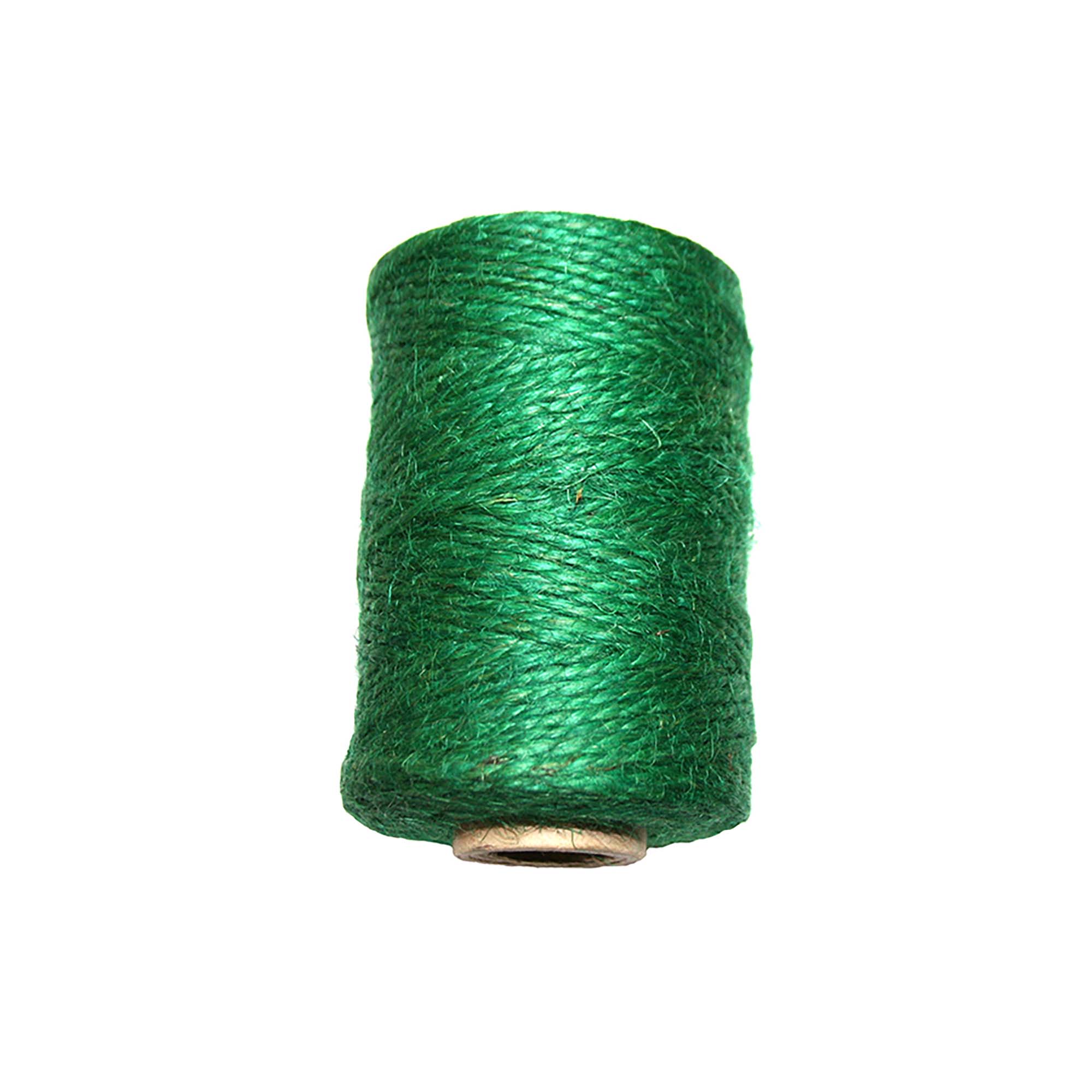 Ficelle de jute verte à 2 brins, large - 200'