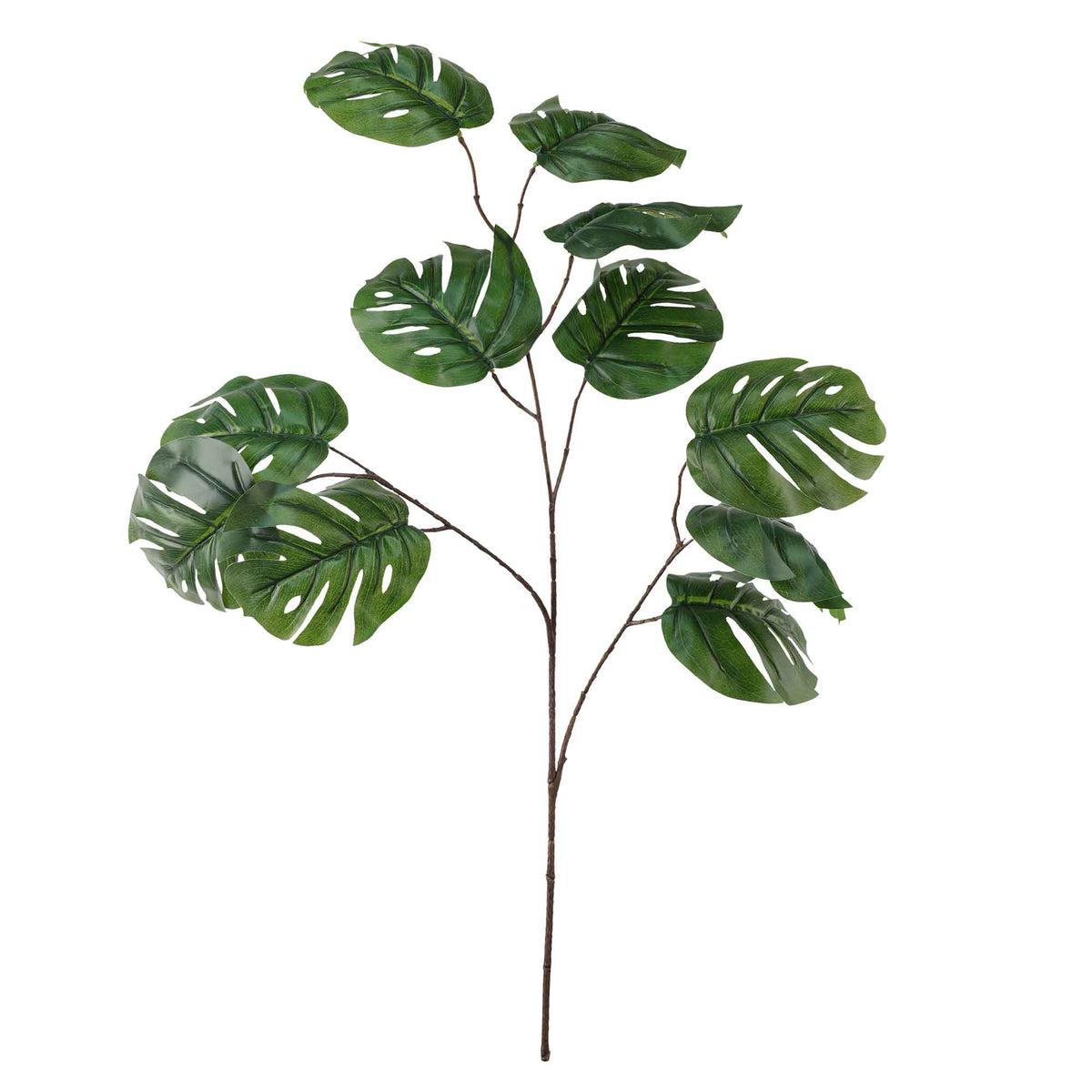 Branche à 3 tiges de philodendron, 31''