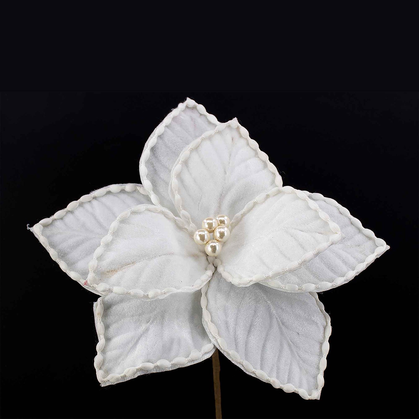 Pic de poinsettia blanc, 10''