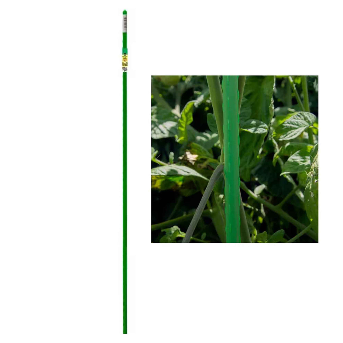 Tuteur pour plantes et jardins en acier avec revêtement vert en polyéthylène, 6'