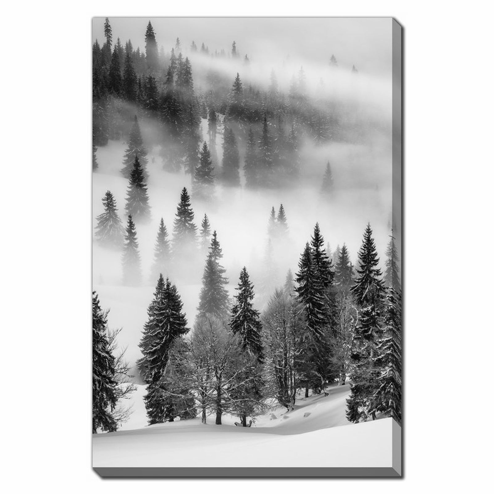 Canevas de la montagne Rodeni sous la neige, 30" x 45"