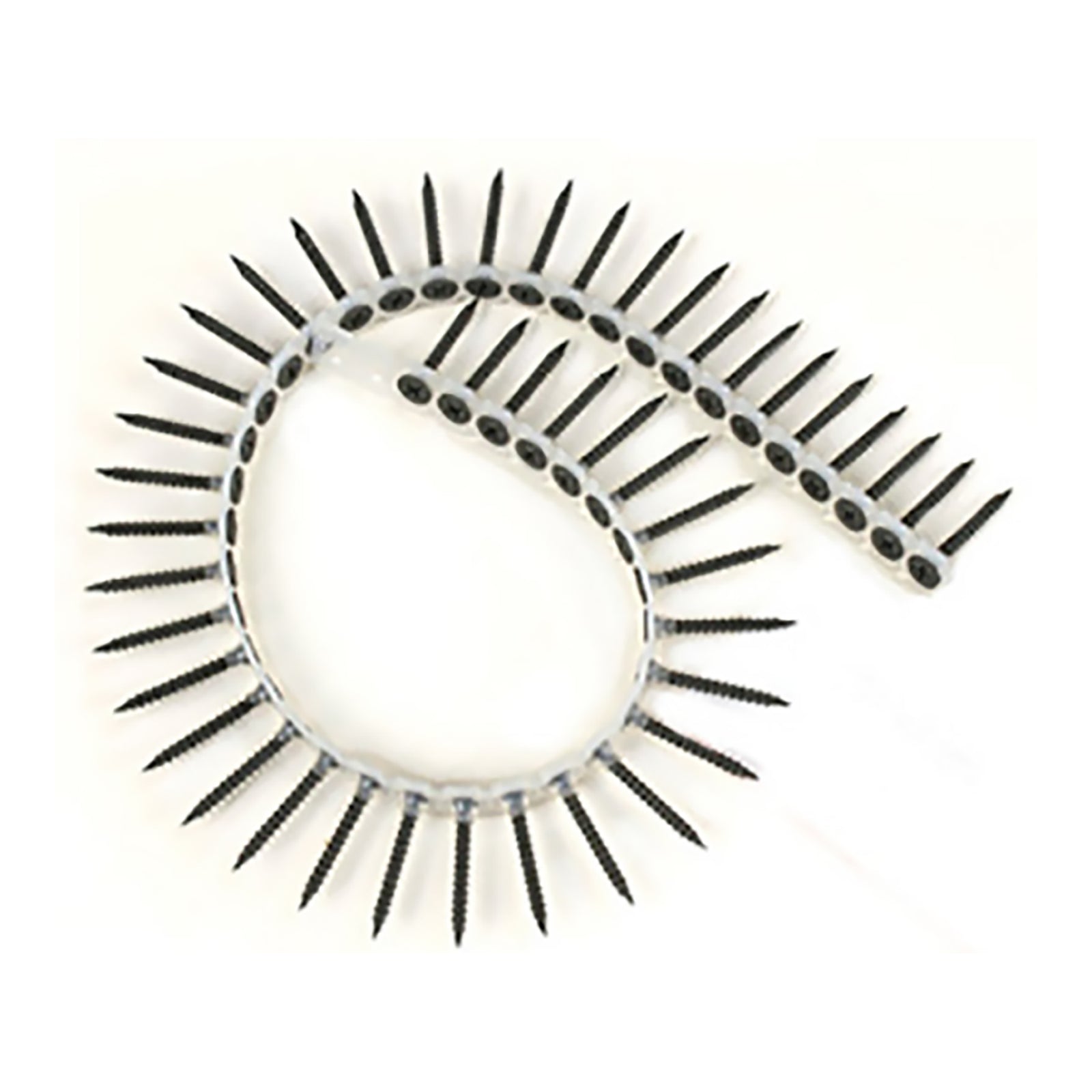 Vis assemblées pour tournevis automatiques bande NO:6 1-5/8"