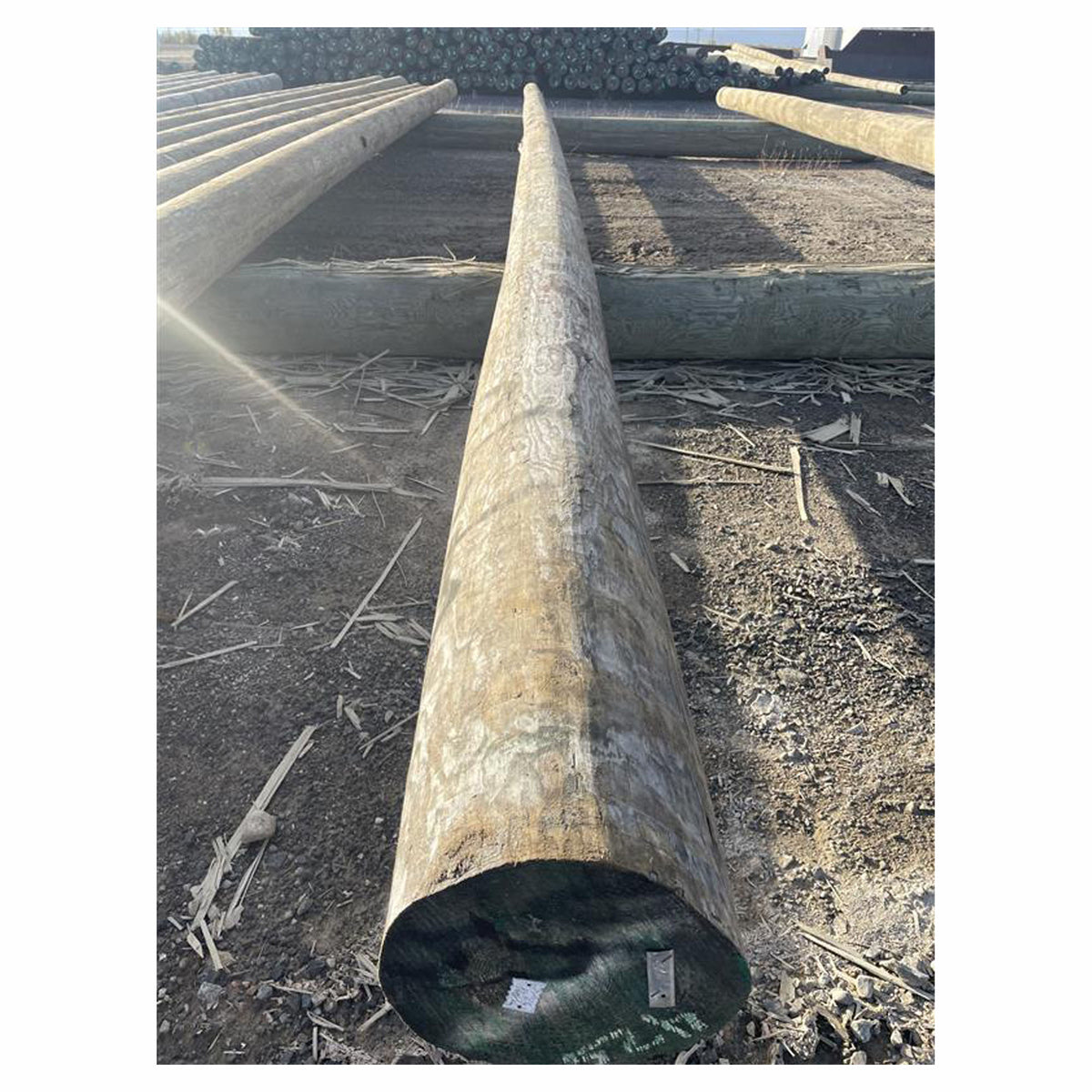 Poteau en bois traité PR 30/5 CCA CSA, 30'