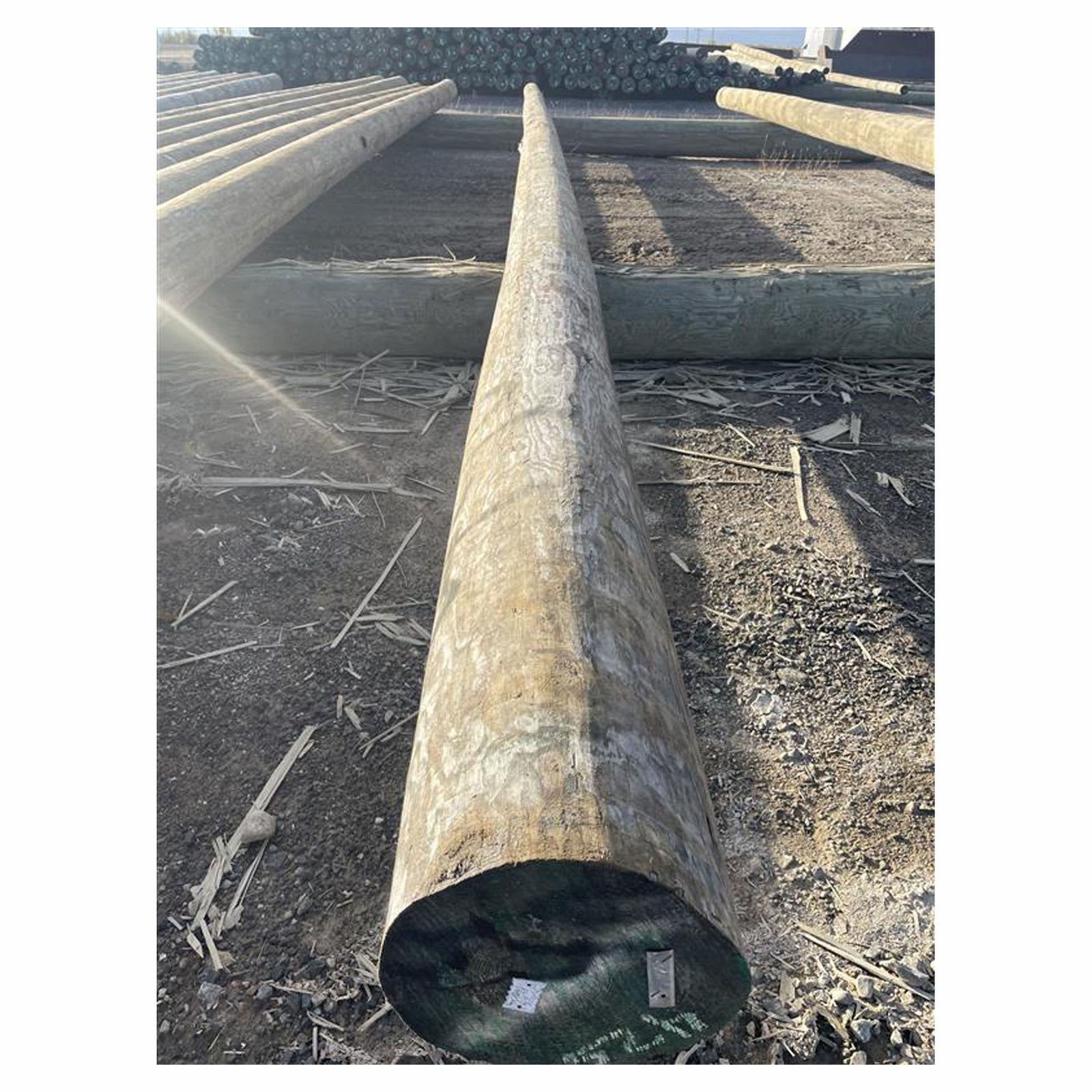 Poteau en bois traité PR 30/5 CCA CSA, 30'