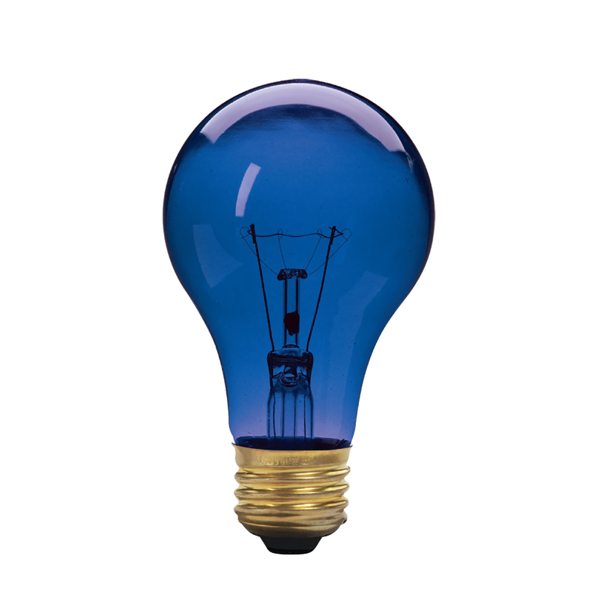 Ampoule incandescente A19, bleue