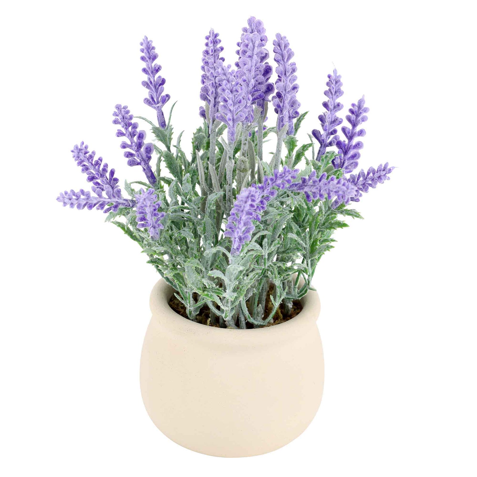 Lavande dans un pot de papier beige, 7,9'' 