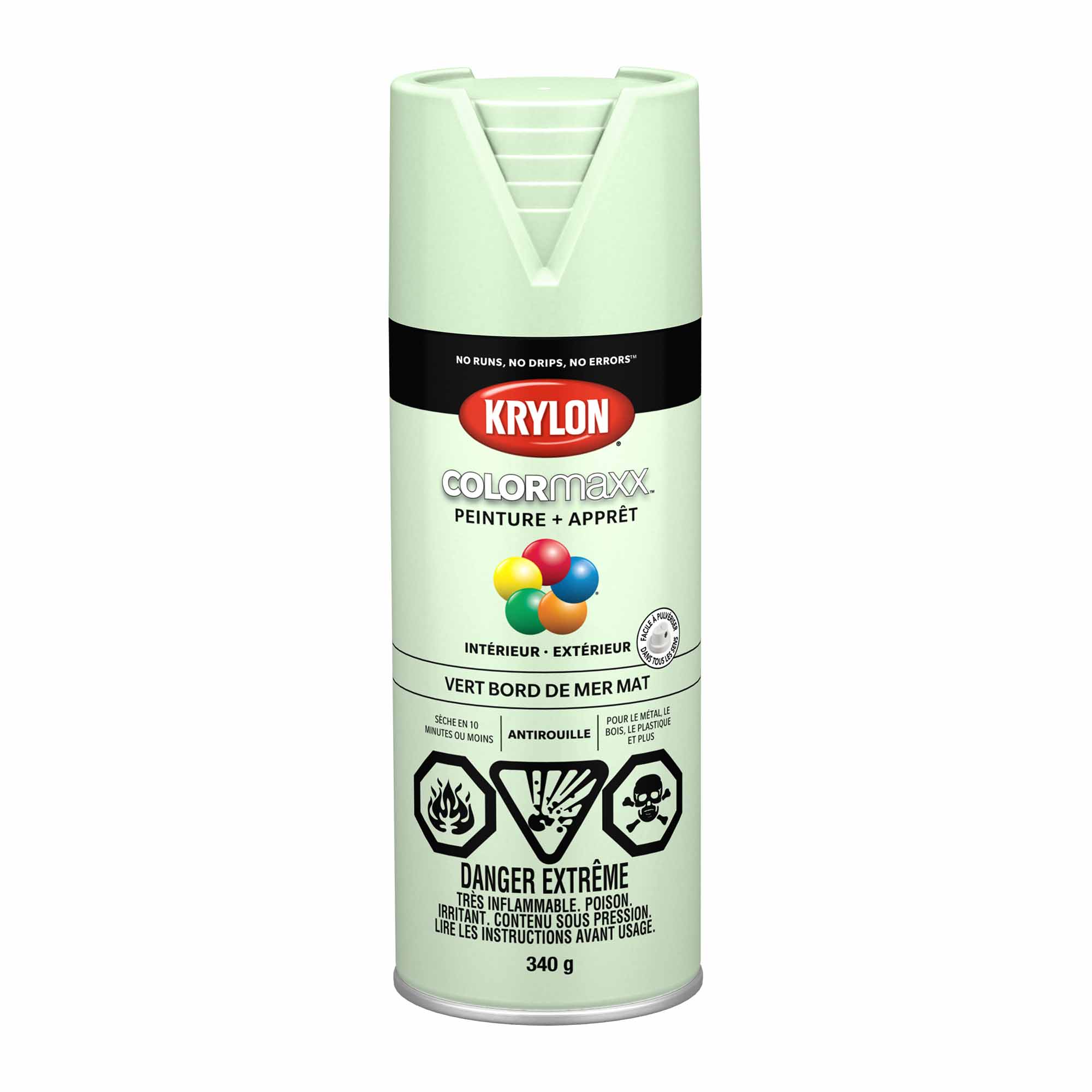 Krylon aérosol COLORMAXX peinture + apprêt vert bord de mer mat, 340 g