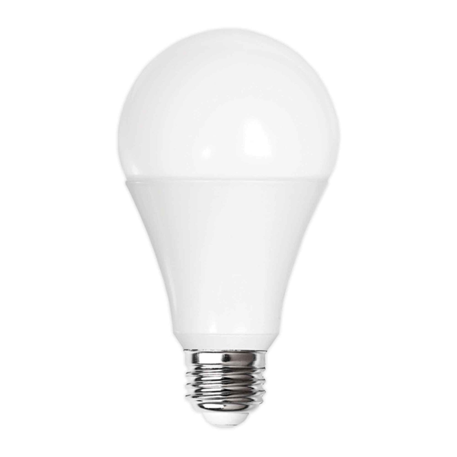 Ampoule DEL de Type A21 à lumen élevé, 2 unités