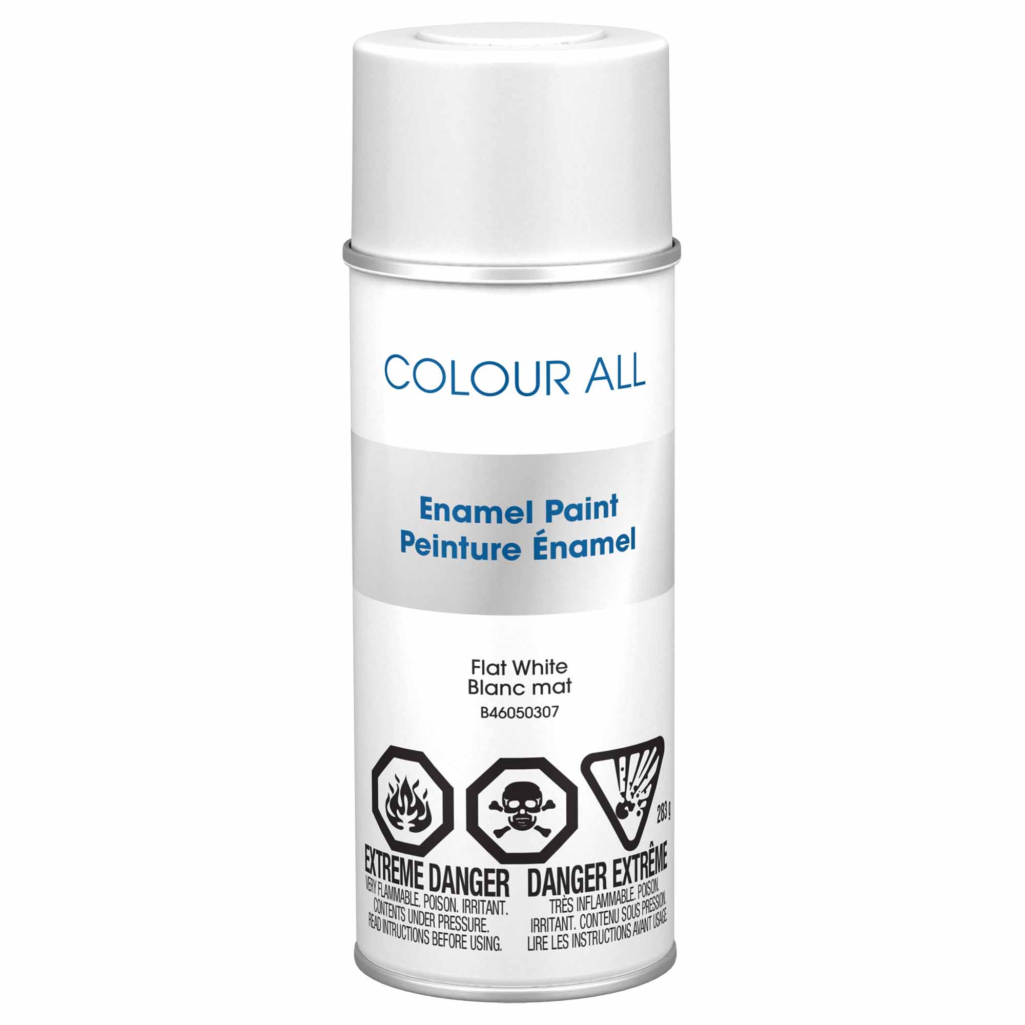 Krylon Colour All aérosol émail blanc mat, 283 g