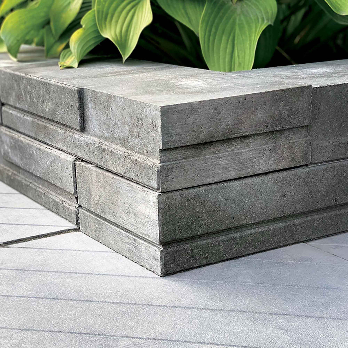 Muret Urbania, charbon  