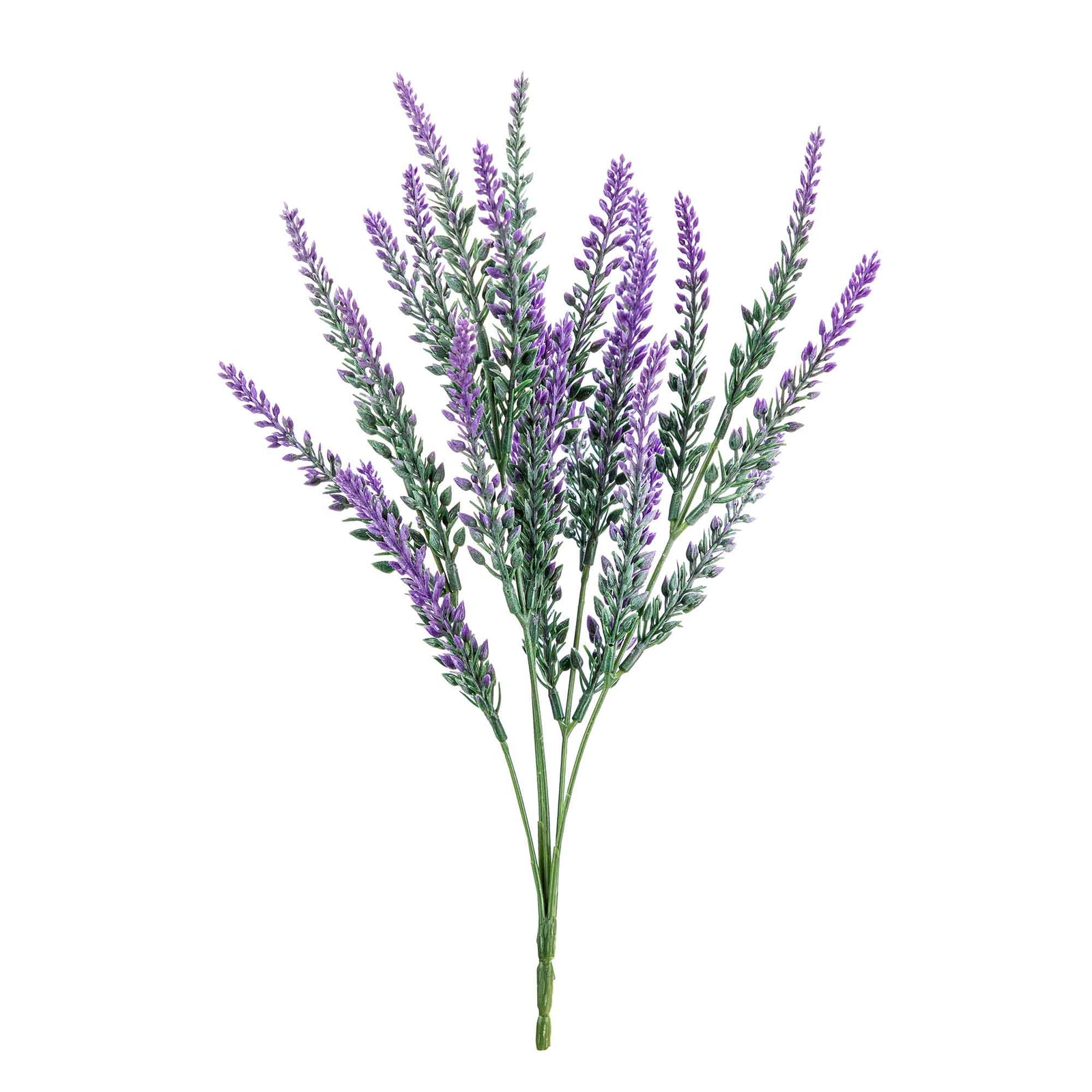 Bouquet de lavande à 4 tiges, 15''