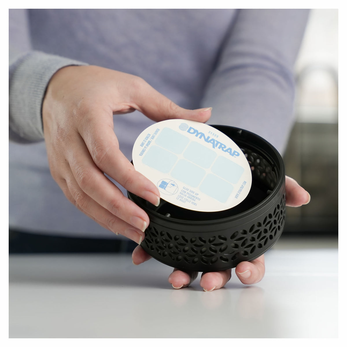 Cartes de rechange adhésives Dynatrap StickyTech, 12 unités
