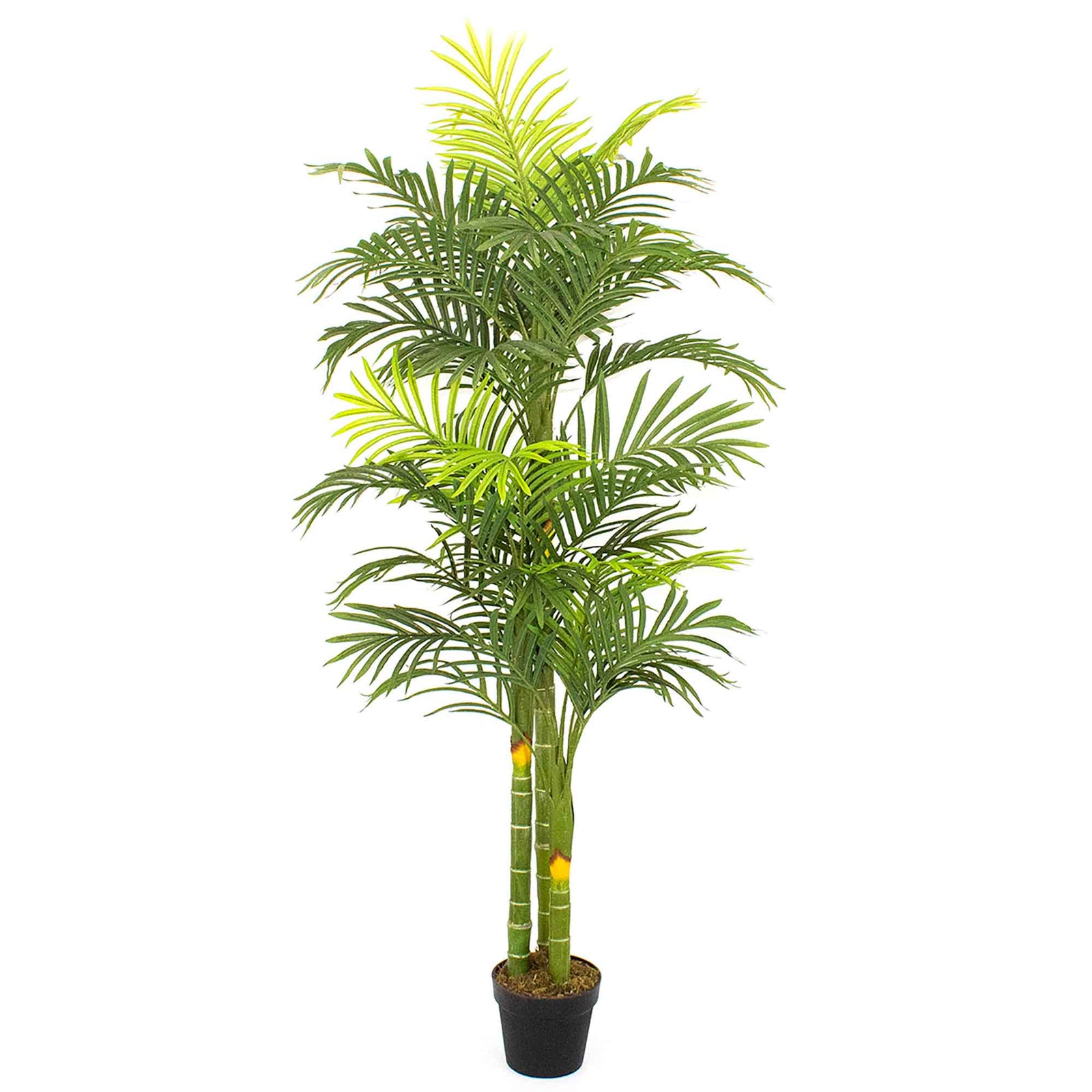 Palmier artificiel en pot à 36 feuilles, 71''