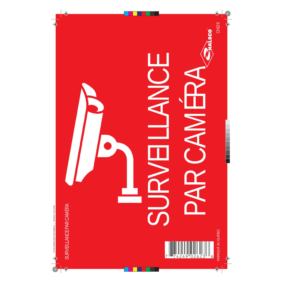 Affiche "Surveillance par caméra", 8" x 12"