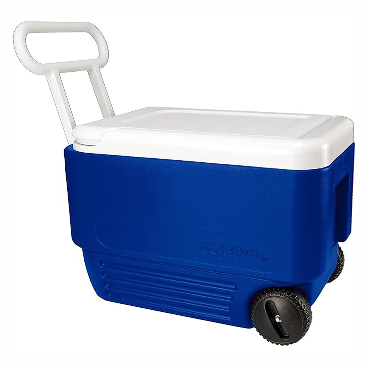 Glacière bleue à 2 roues, 36 L