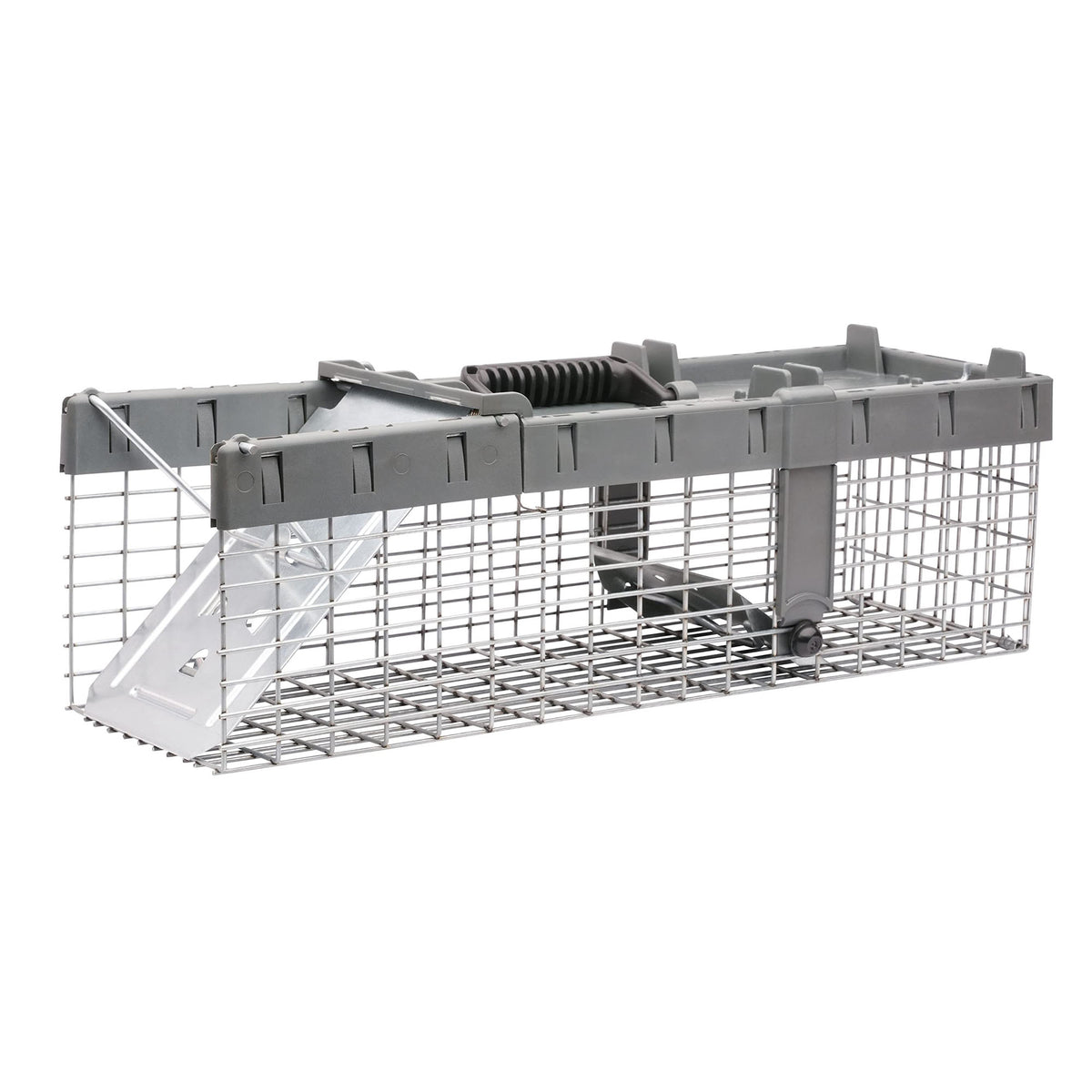 Petit piège pour animaux à 1 porte, 17,75” x 6,88” x 5,5”