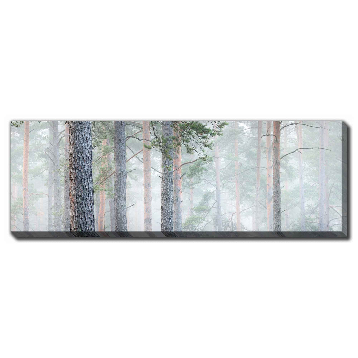 Impression sur toile forêt mystérieuse, 36'' x 12''