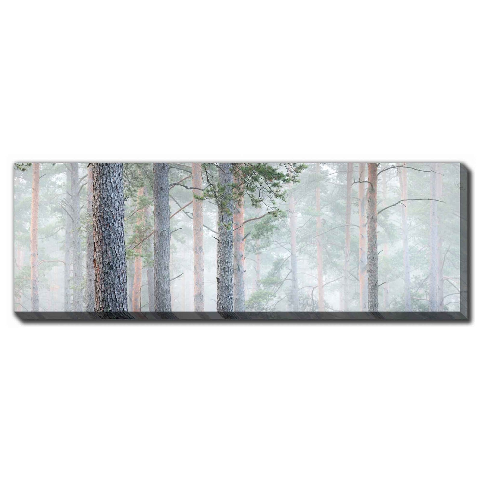 Impression sur toile forêt mystérieuse, 36'' x 12''