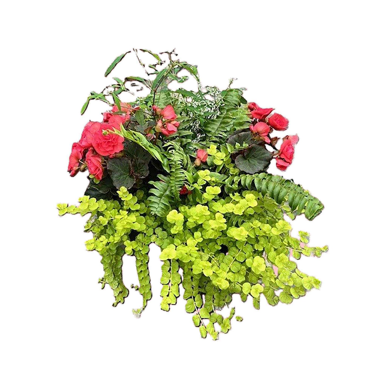 Pot pour patio avec fleurs et plantes, 16'' (assorties)