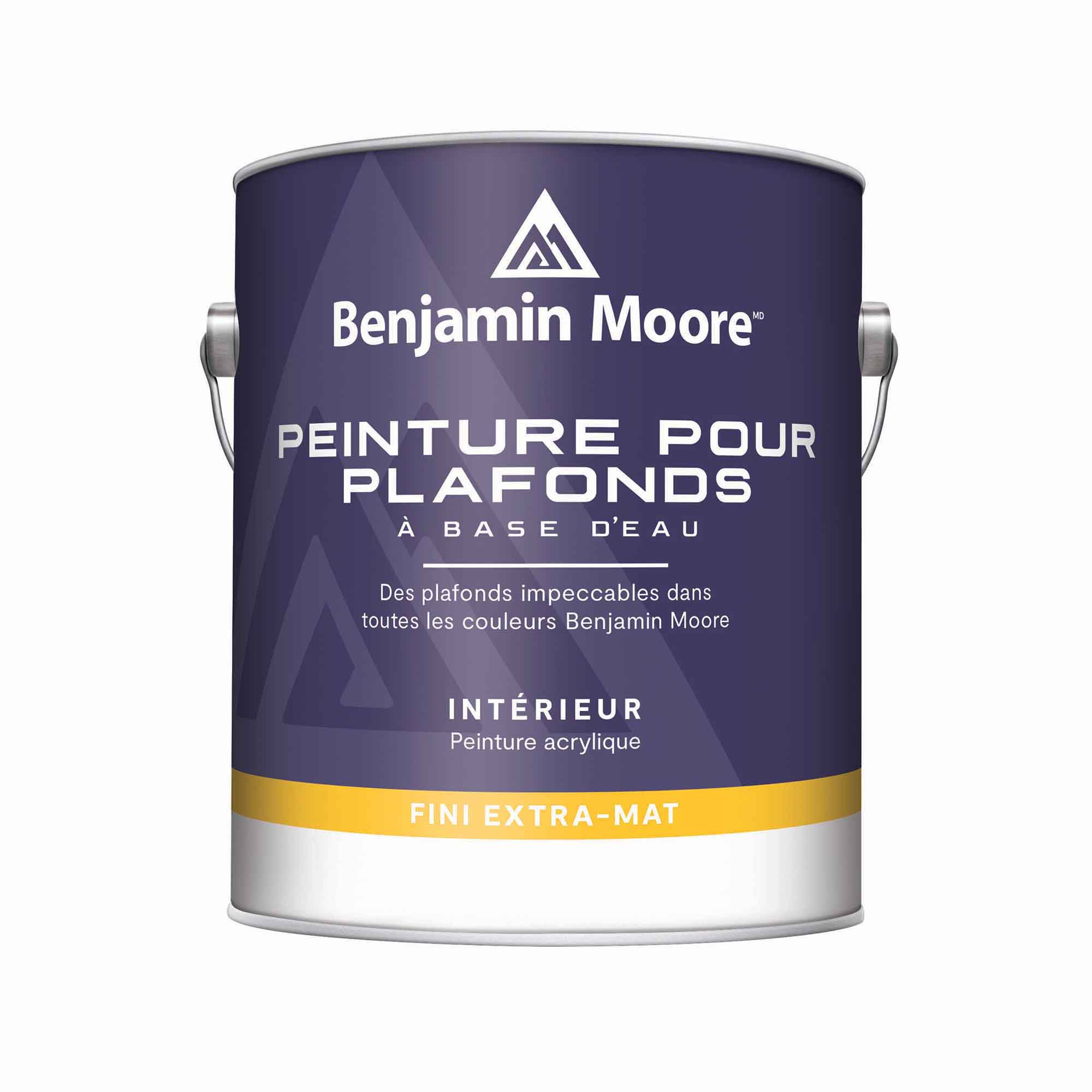 Peinture d'intérieur à base d'eau pour plafond extra-mat blanc, 3,79 L