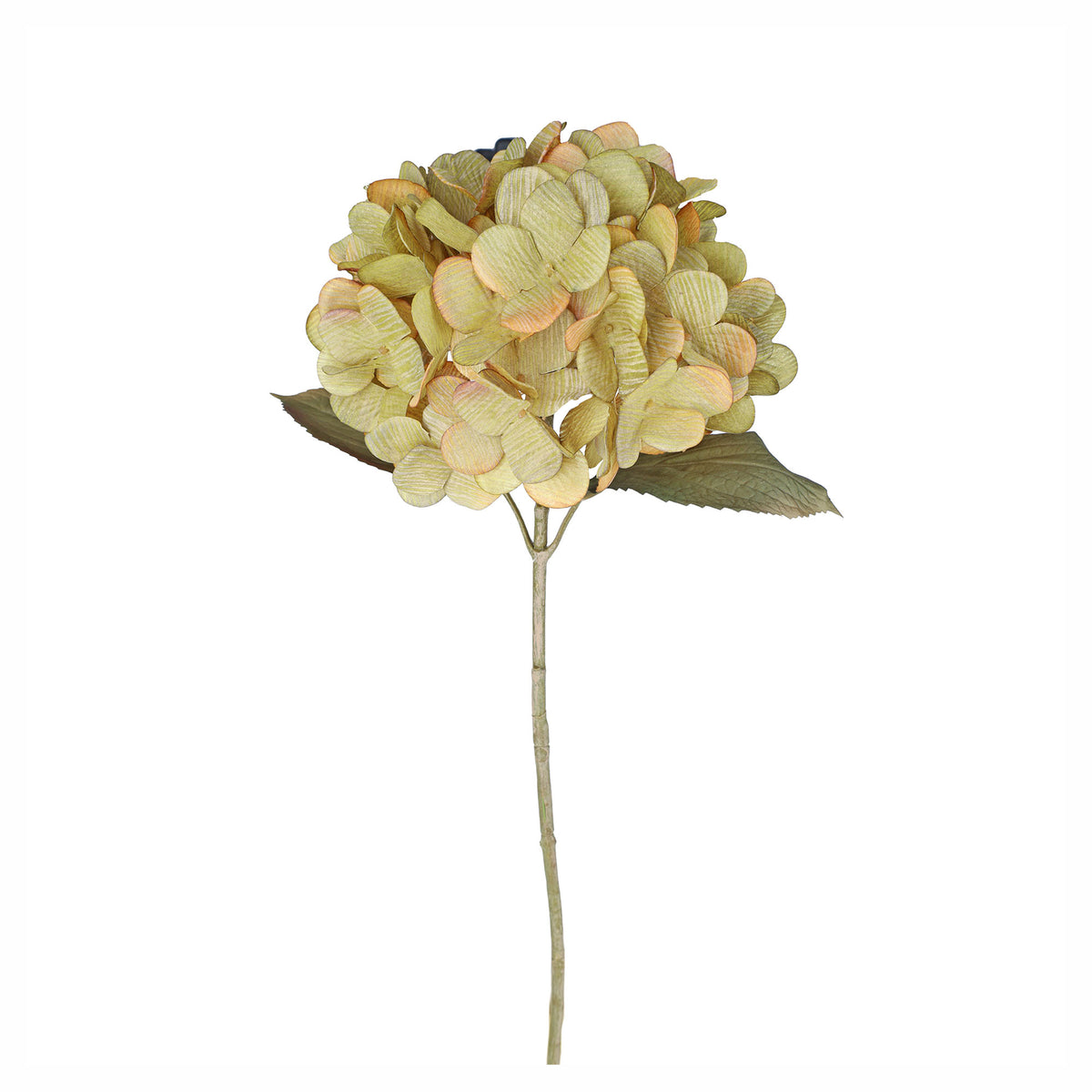 Tige d’hortensia artificiel, 26,37" (verte)