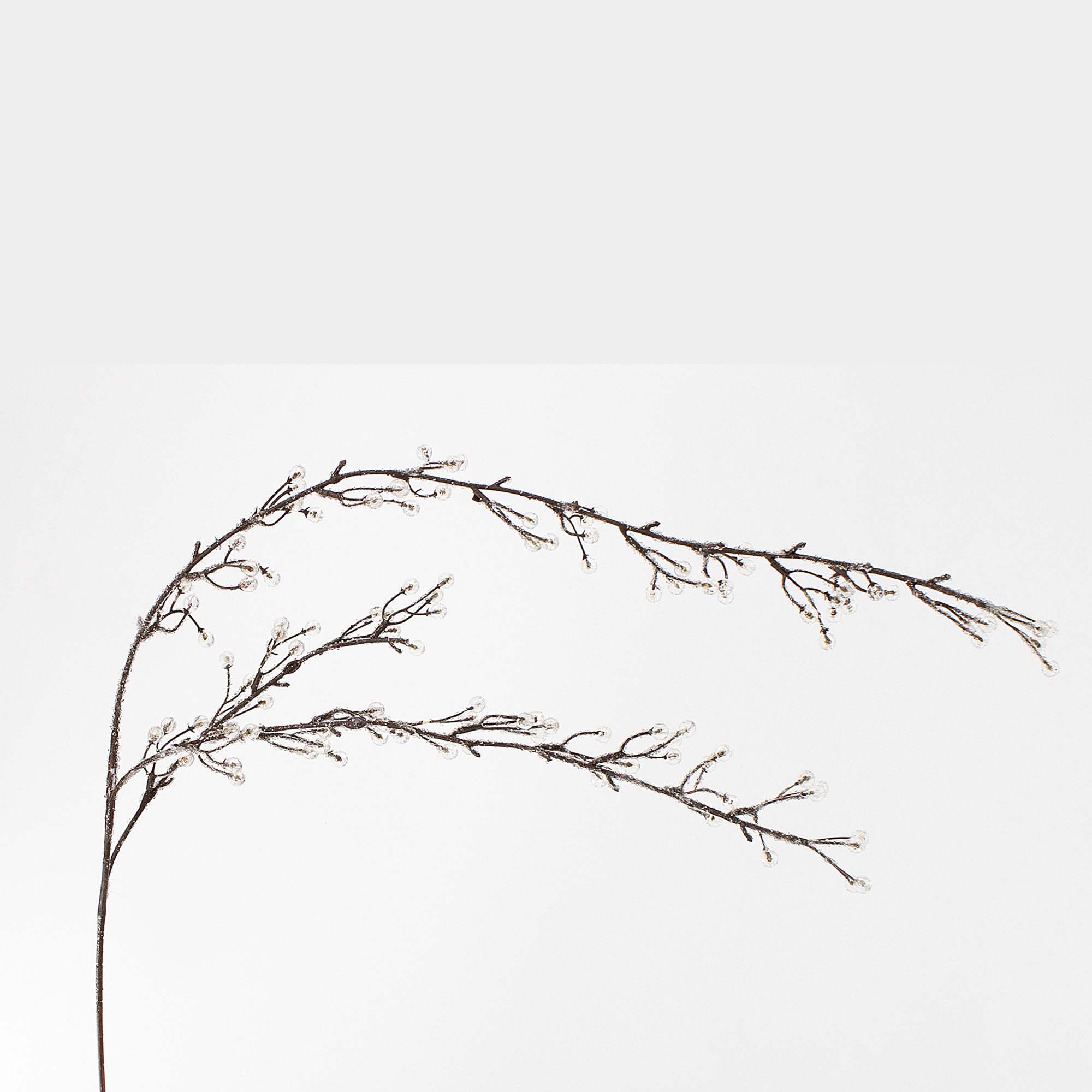 Tige de branches brunes, 48 cm / 19"