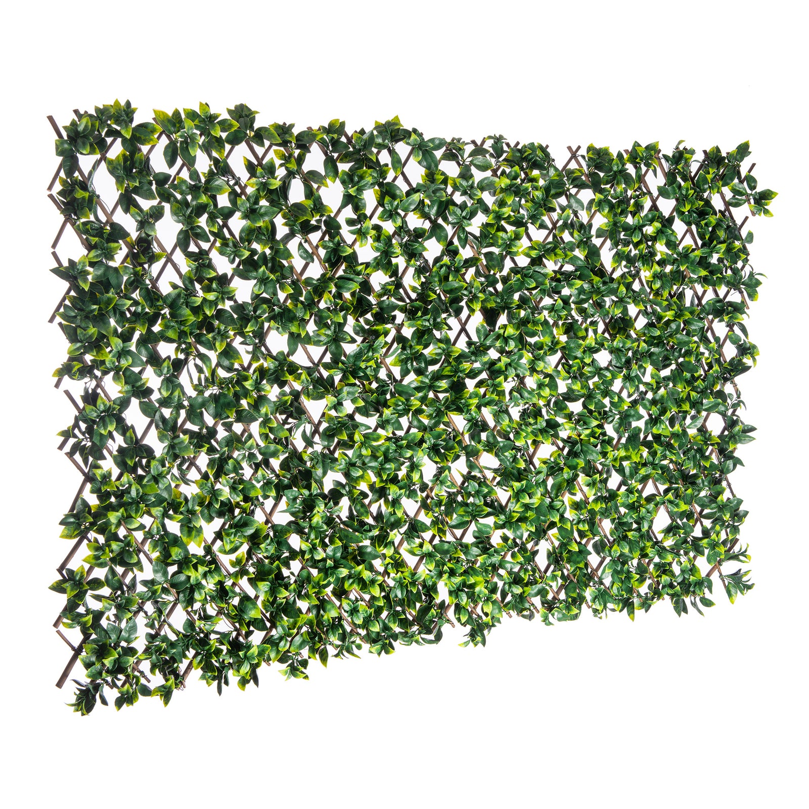 Treillis extensible bois/plastique vert avec feuilles de gardénia, 36" x 72"