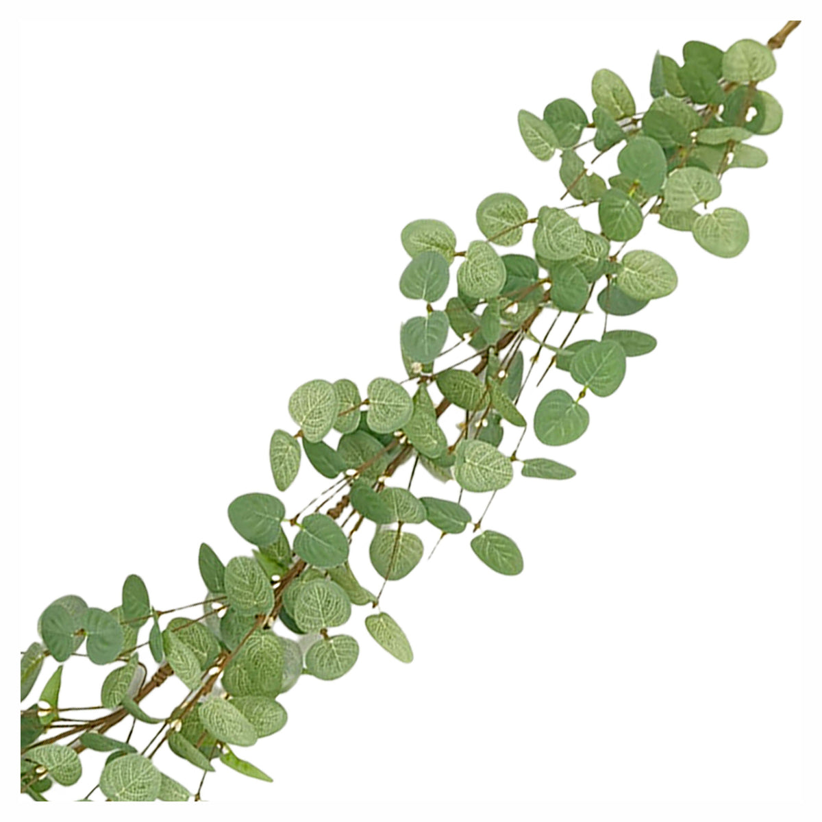 Guirlande d'eucalyptus, 60"