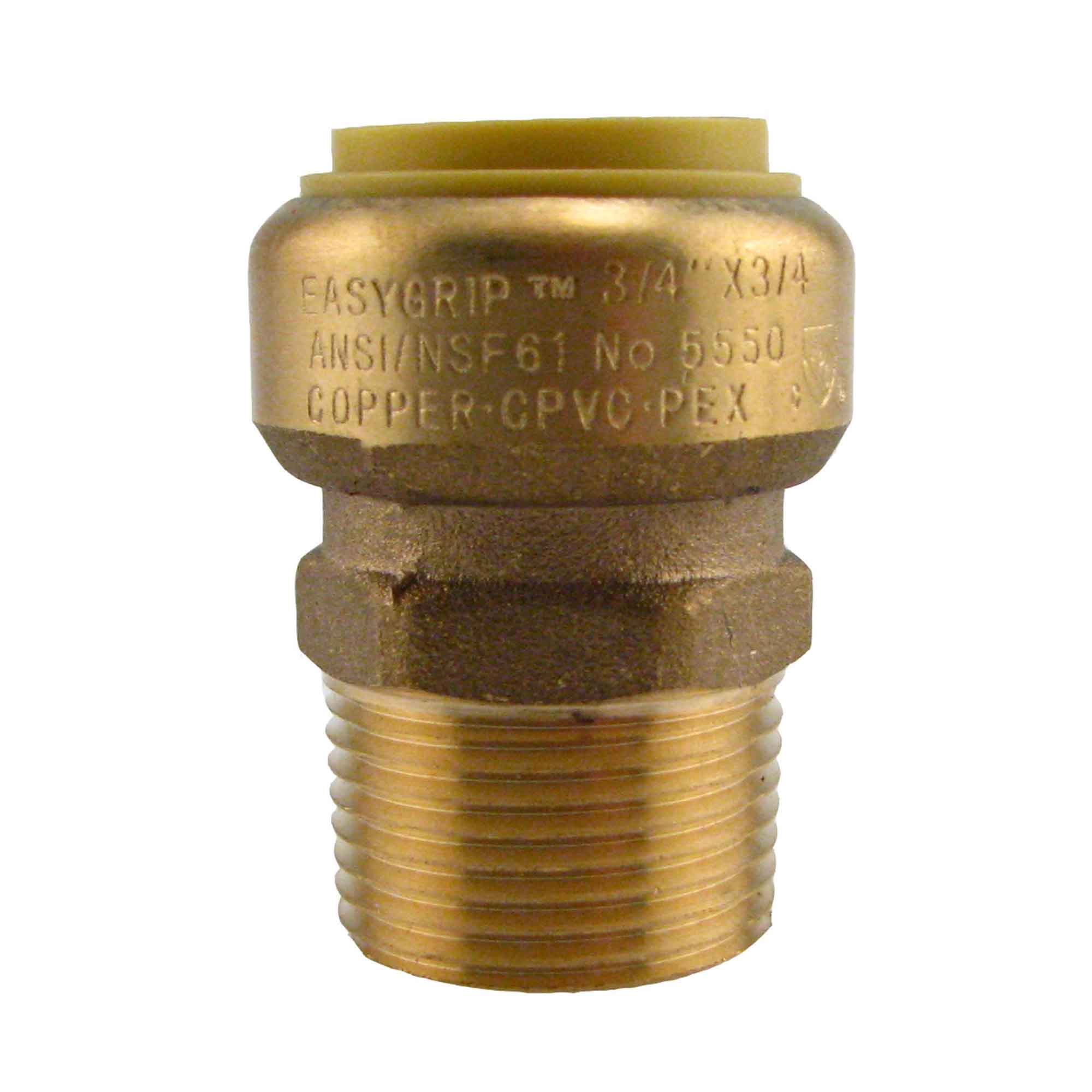 Adaptateur sans plomb, 3/4" PF x 3/4" MPT