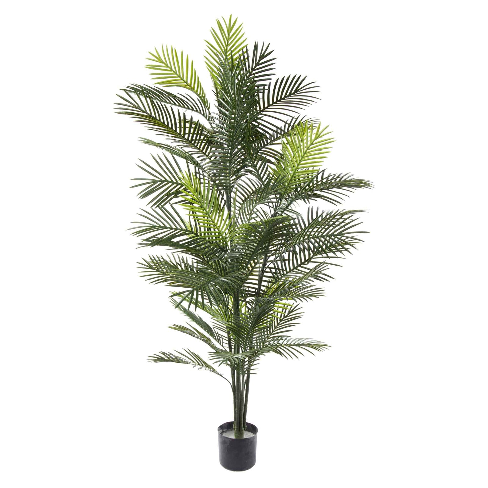 Palmier Robellini artificiel en pot, 72"