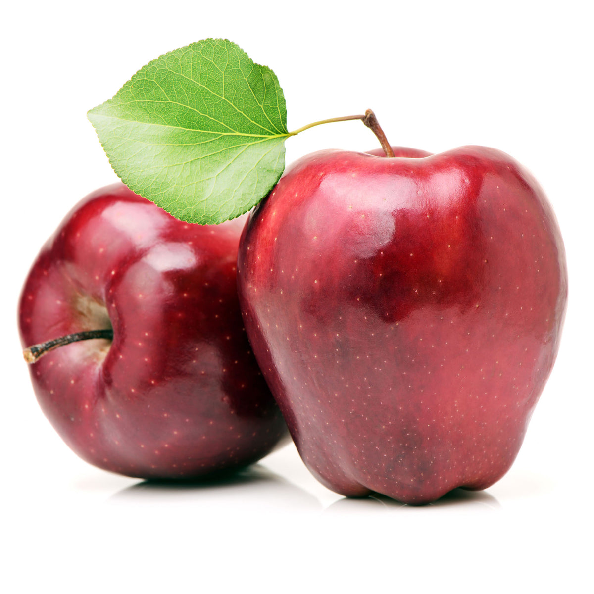 Pommier Malus Domestica rouge