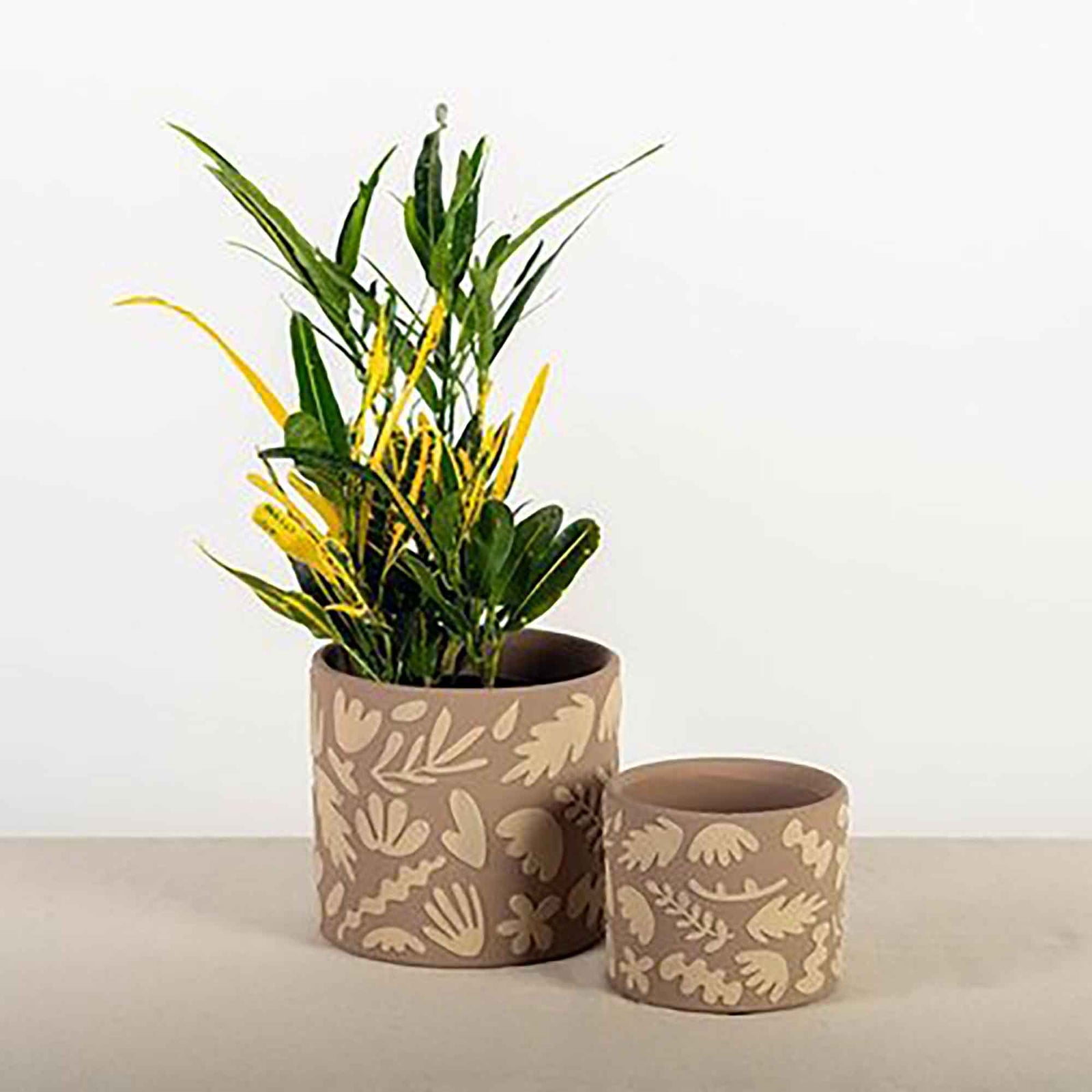 Pot en terre cuite à motifs d'herbages, 4,25" x 3,5" (petit)