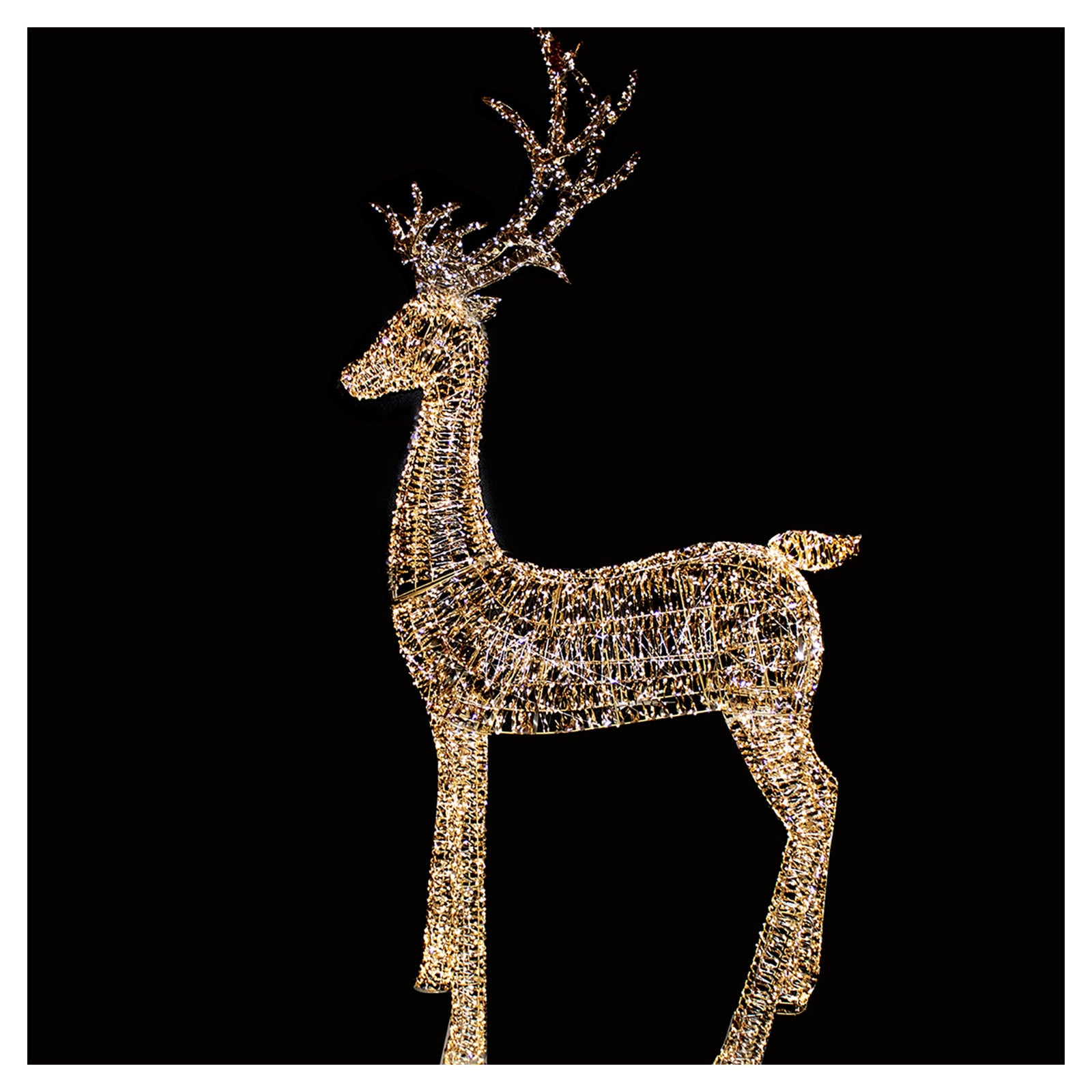 Renne doré illuminé à 4300 DEL blanc chaud, 106''