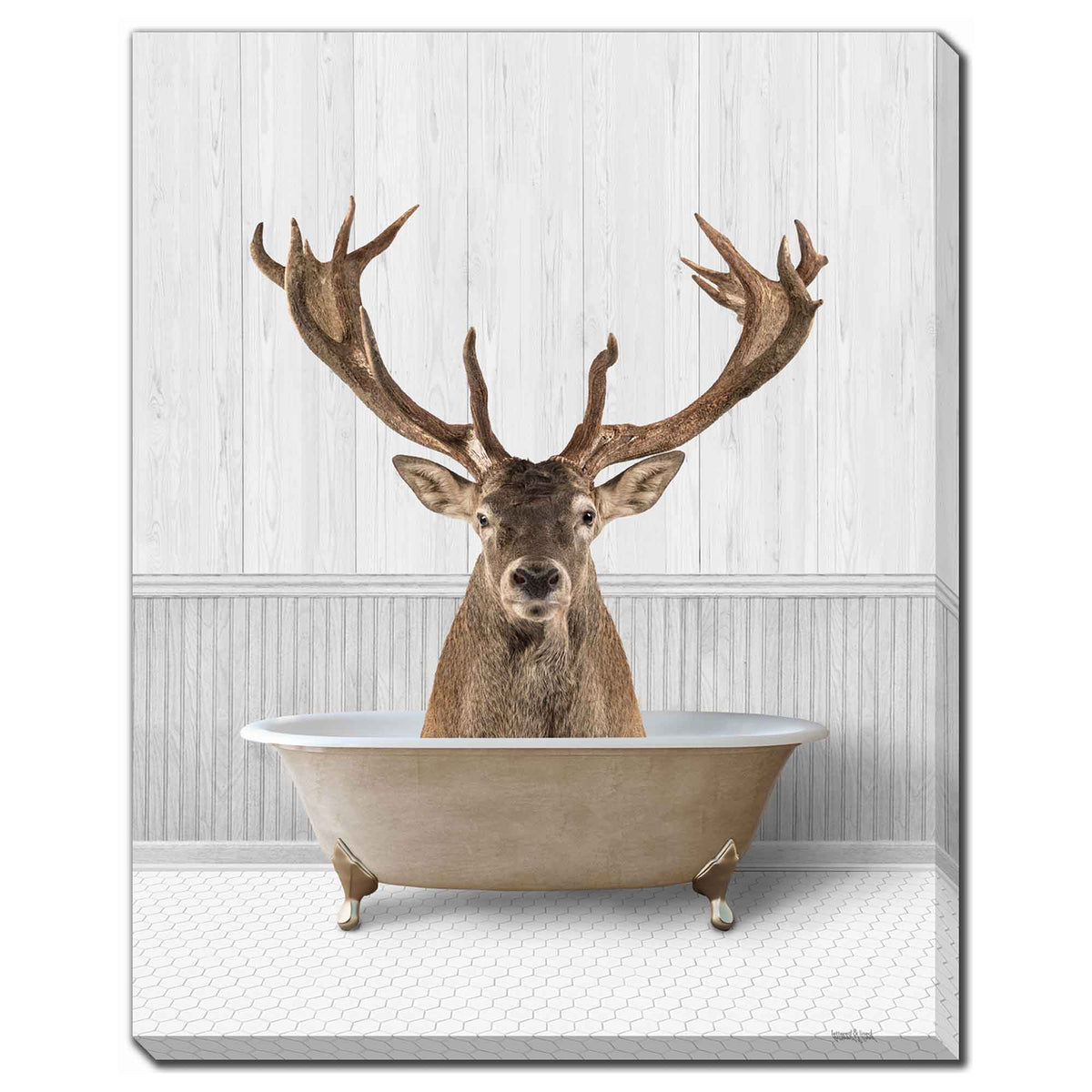 Toile embellie à la main cerf dans le bain, 16'' x 20''