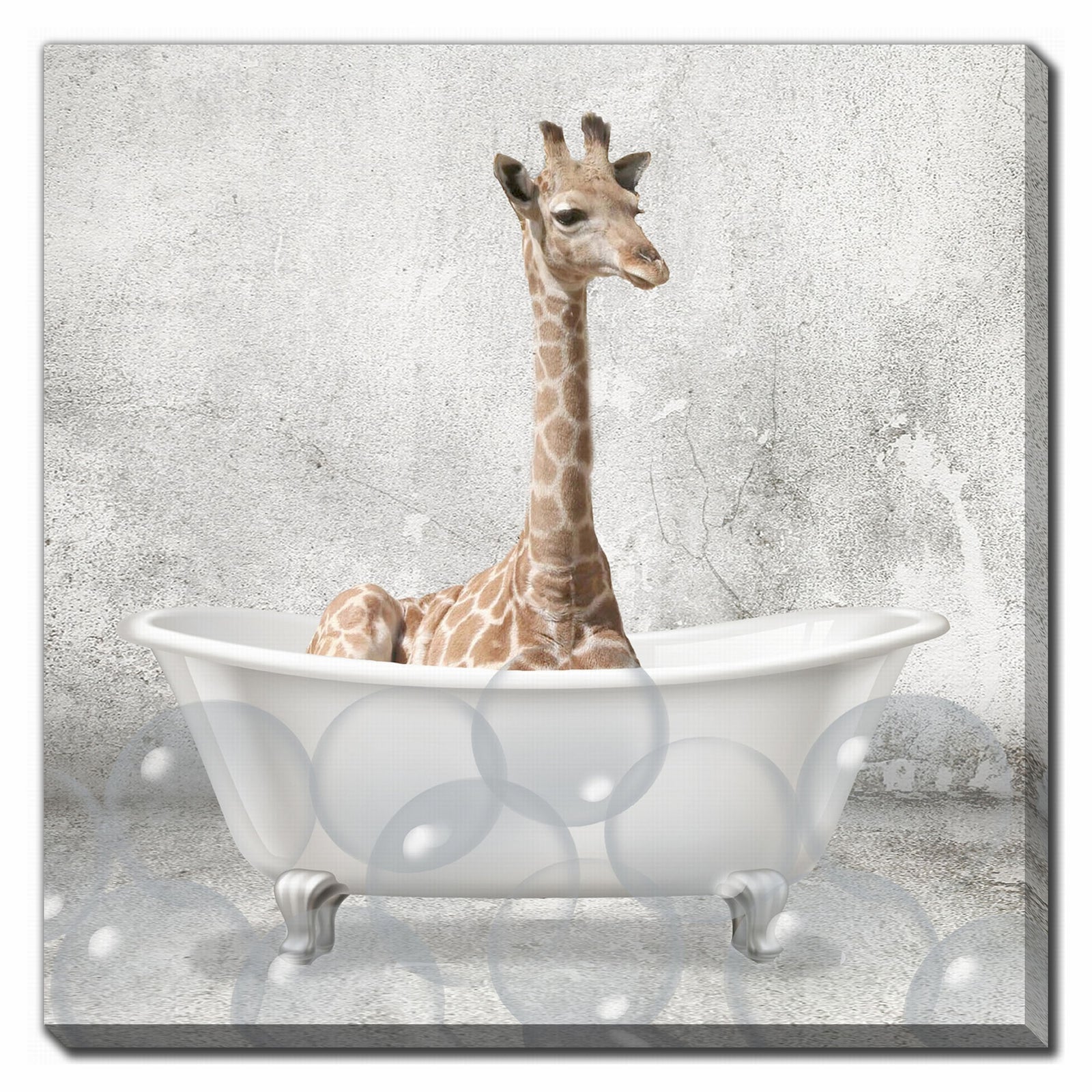 Canevas d’une girafe dans son bain, 18" x 18"