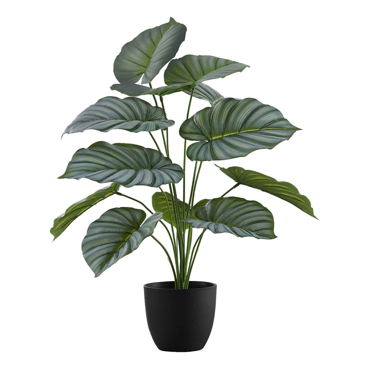 Plante Calathea artificiel d’intérieur en pot, 24&quot;