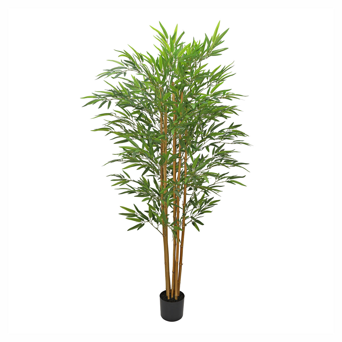 Arbre en bambou à 7 troncs naturels dans un pot en plastique noir, 71,65" (182 cm)