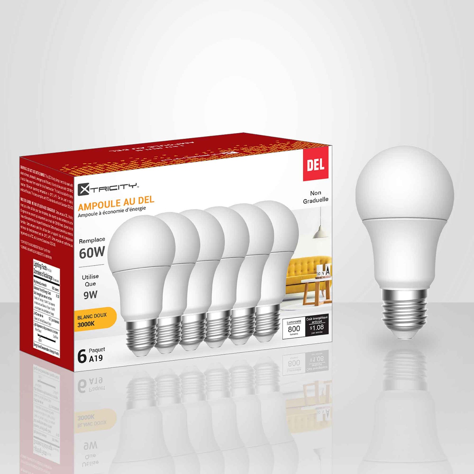 Ampoule DEL A19 à économie d'énergie de 9 W, blanc doux (6 unités)