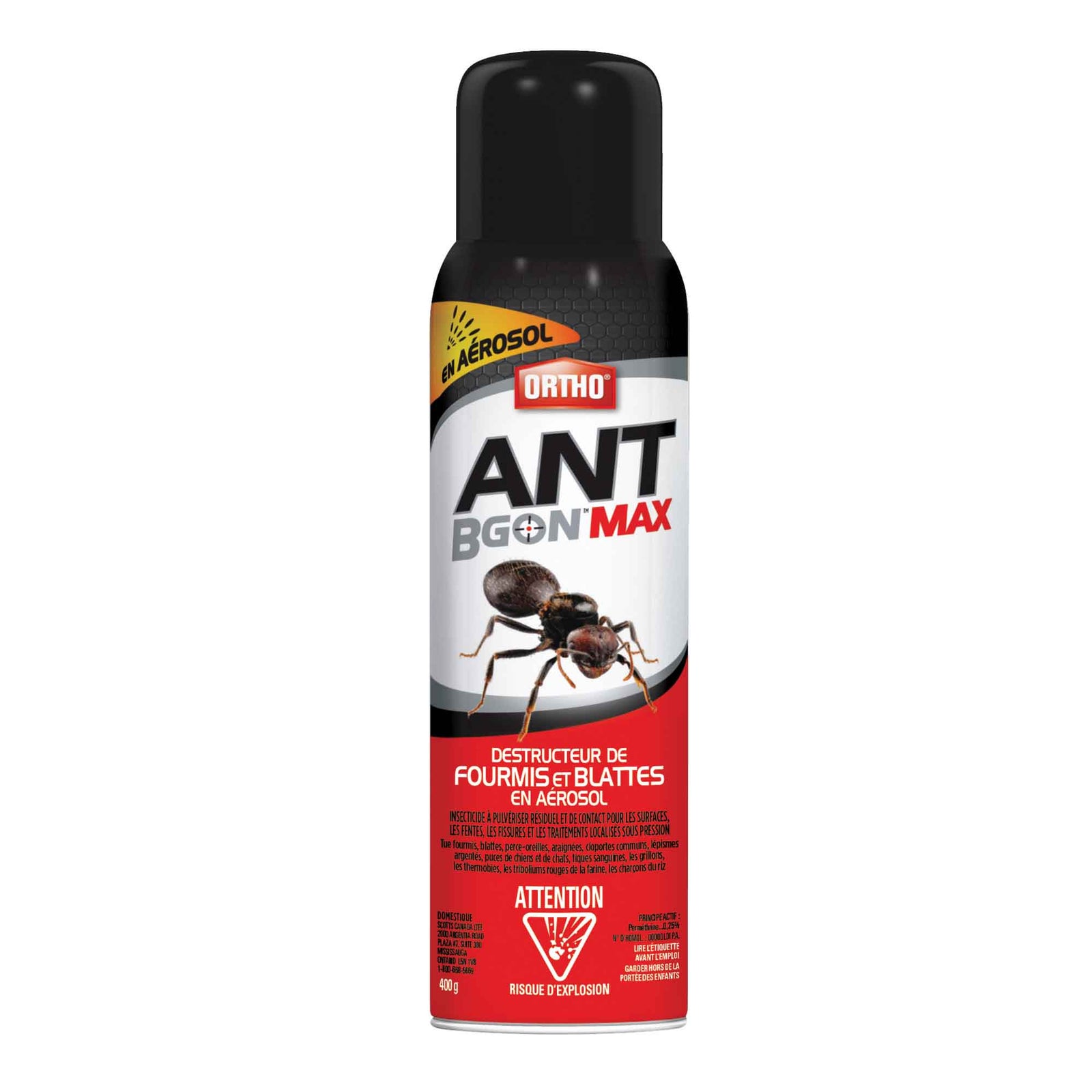 Aérosol destructeur de fourmis et de blattes Ant B Gon MAX, 400 G