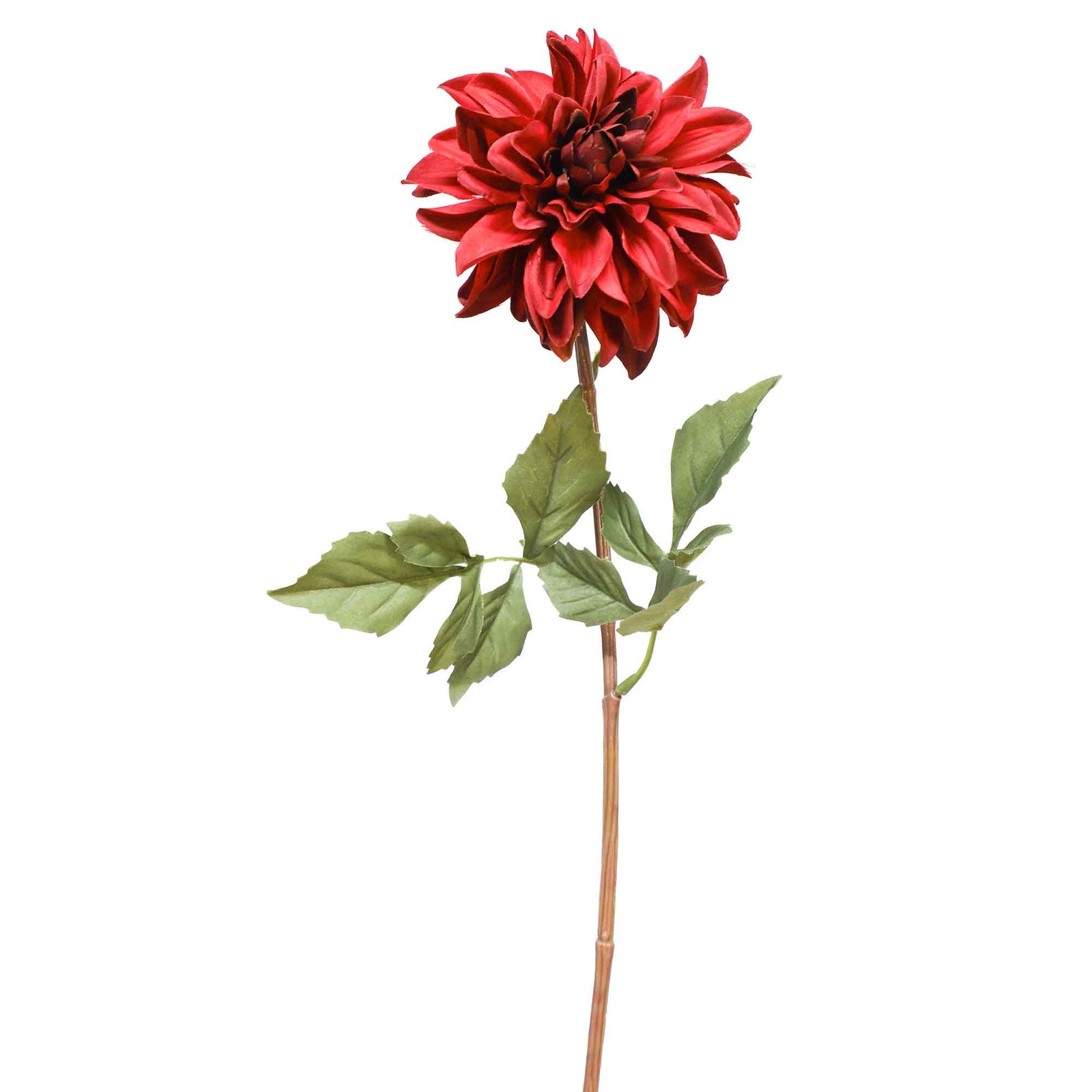 Fleur de dahlia rouge sur tige, 30''
