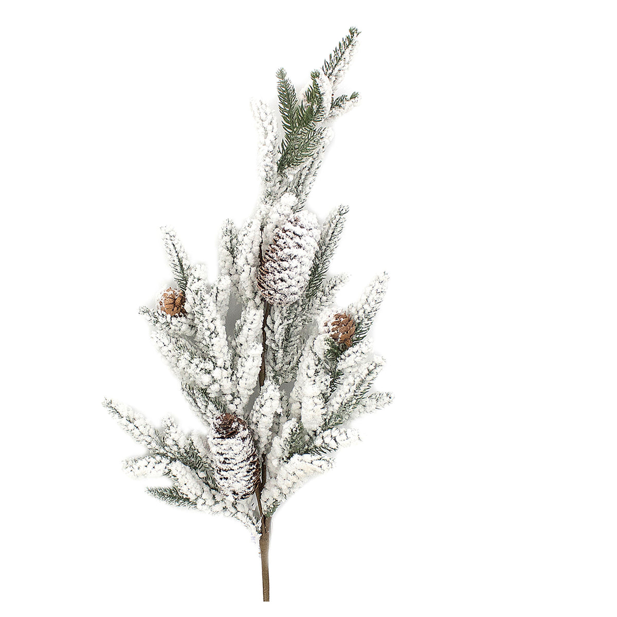 Pic de pin enneigé avec cocottes, 28''