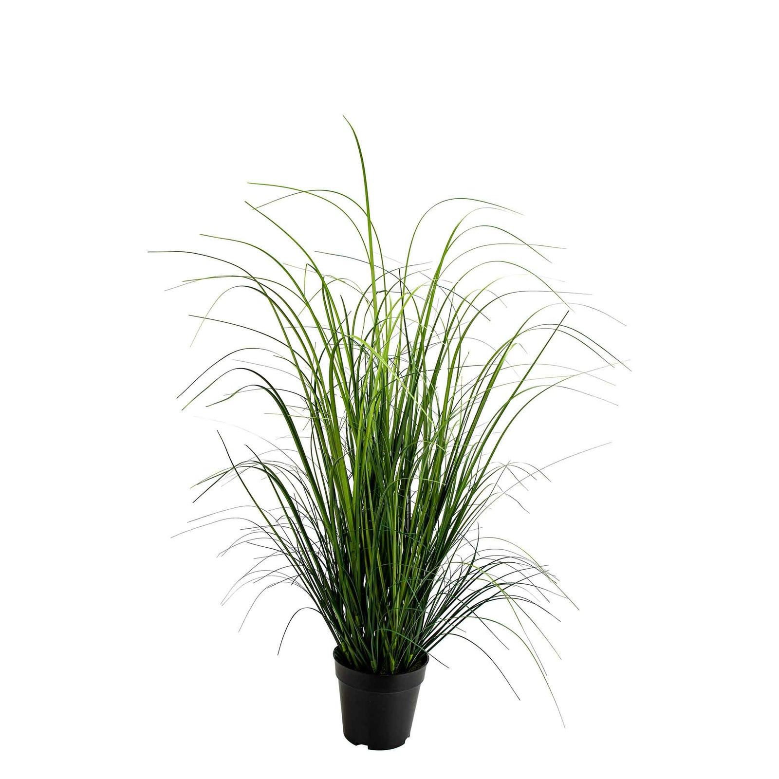 Herbe d'oignon artificielle traitée anti-UV en pot, 47"